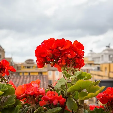Ginnasi Palace Penthouse Roma